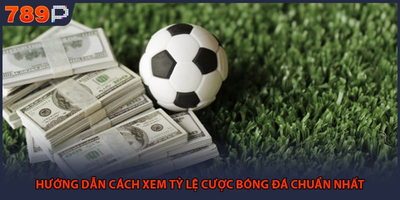 Kèo Tài Xỉu - Chi Tiết Bí Quyết Chinh Phục Mọi Trận Đấu 2 Hướng dẫn cách xem tỷ lệ cược bóng đá chuẩn nhất